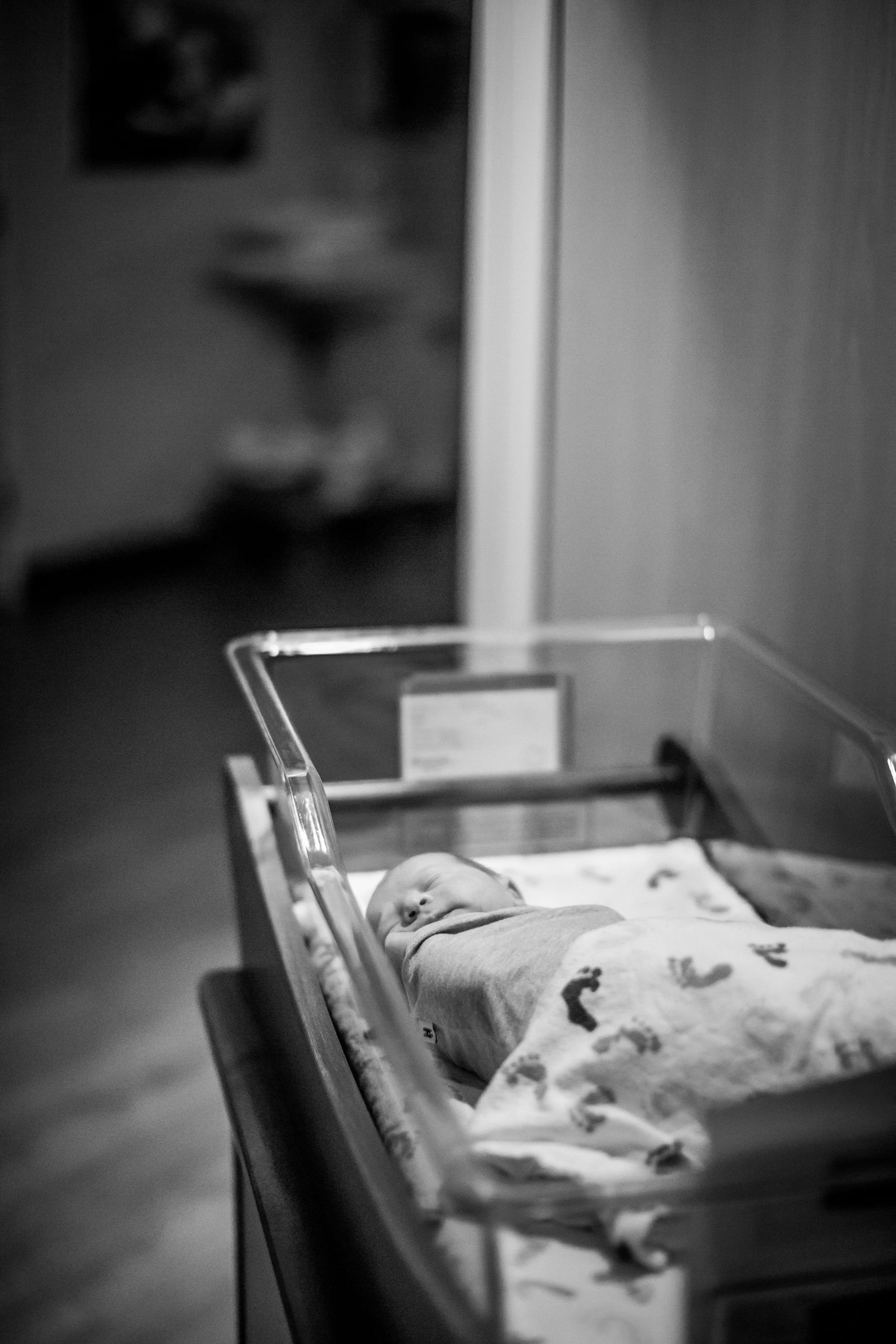 BabyBeau-133 (2).jpg