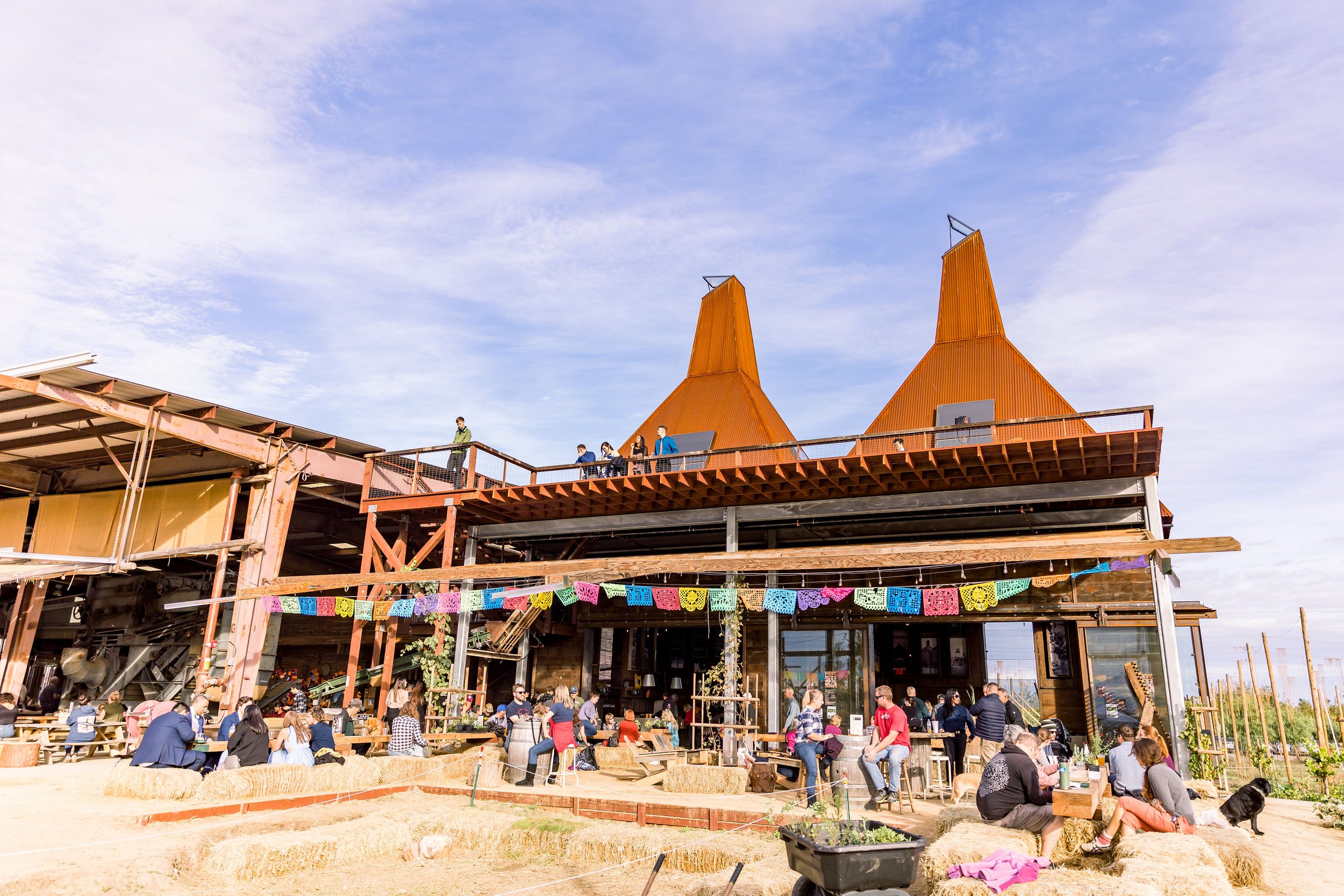 L&A-WEDD-356 (1).jpg