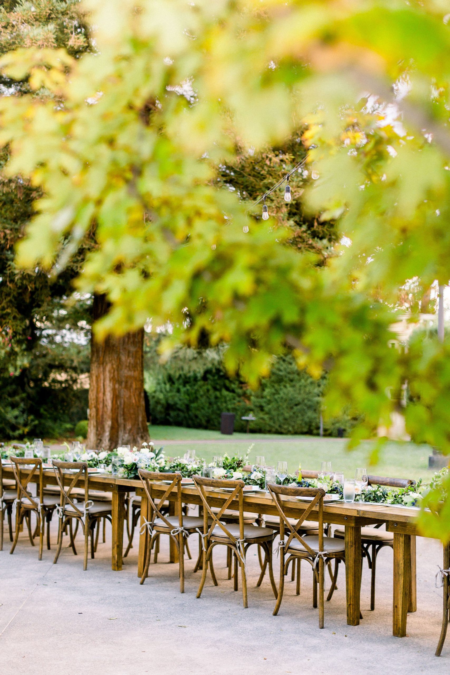 Tam&MattWEDD-374.jpg